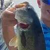 Henry Block - @henry.block0 - TikTok