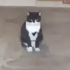 Henry Boehman - @henryboehman4833 - TikTok