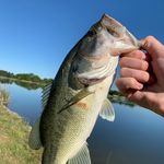 Henry Boehme - @henryboehme66 - Instagram