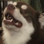 Henry Born - @thatoneweirdkid29 - Instagram