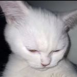 Henry - @henryborntobeawinner - Instagram