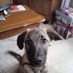 Henry Bott - Facebook