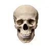 Henry✝️ - @henry_botts - TikTok