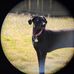Henry Bourgeois - Facebook