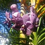 Boyer henry - @boyer_henry - Instagram