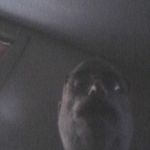 henry boyer - @boyer9770 - Instagram