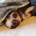 Charles henry bracken - @charleshenrybracken - Instagram