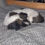 Henry Brewer - Facebook