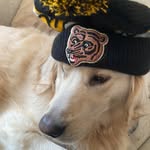 Henry Brewer - @gtabrams123 - Instagram