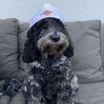 Henry bridges - @henrybridges.10 - Instagram
