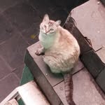 Henry Brito - @x.henrybrito - Instagram