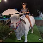 Henry Brito - Facebook