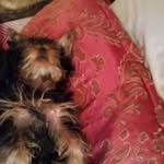 Henry A. Broussard - @henrya.broussard - Instagram