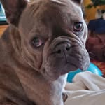 Bonnie Thraen - @henrybrowning_t - Instagram