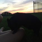 Bruce Henry - @bruce_henry_ - Instagram