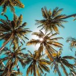 @henry__bruce - Instagram