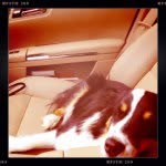 @mrhenrybuckingham - Instagram