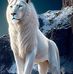 Henry Bunn - Facebook