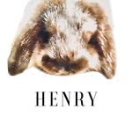 Henry Hoyser - @henrybunnylovesme - Instagram