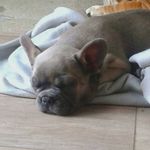 HenryBundock - @henry_bunner06 - Instagram
