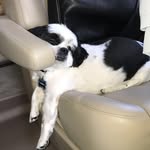 henry burch - @_henry.burch_ - Instagram