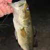 Henry Burtt - @henry.burtt - TikTok