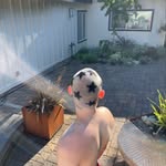 Henrycampbell - @campbell.hj - Instagram