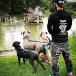 Henry carlos - @henrycarlos78 - Instagram