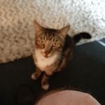 Henry Case - @hcase30605 - Instagram