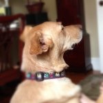 Henry Clapp - @hclapp219 - Instagram