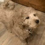 Henry Clausen - @clausen_henry - Instagram