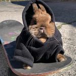 Henry Clausen - @henrycdk - Instagram
