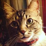 Henry Claxton, Handsome Boy - @henry.claxton - Instagram