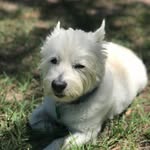 Henry Clift - @thelifeofhenryclift - Instagram