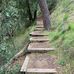 Henry Coe Park - Facebook