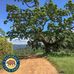 Henry W. Coe State Park - Facebook