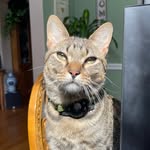 Henry Coffman - @kinghenrycoffman - Instagram
