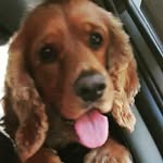 Henry - @henry_coker04 - Instagram