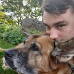 Henry Colvin - @henrycolvin444 - Instagram