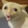Henry Colvin - @henry.colvin84 - TikTok