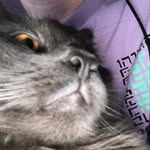 henry - @henry.conradt - Instagram