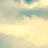henry.conradt - @henryy.conradt - TikTok