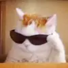 Henry Cooley - @henrycooley727 - TikTok