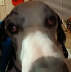 Henry Corley - Facebook