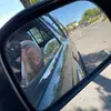 terry - @henrycorona00 - TikTok
