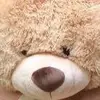 Henry Craig - @real_kingbear - TikTok