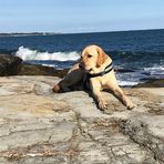 Henry Crouse - Facebook