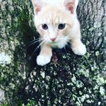 Henry Ash Crowe - @henryashcrowe - Instagram