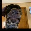 Henry - @henry_cuadras - TikTok