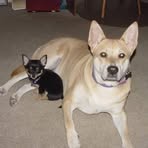 Mary Lynn Henry Culpepper - Facebook